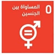 تقرير أهداف التنمية المستدامة: 5 – المساواة بين الجنسين
