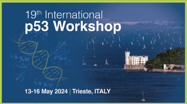 الإعلان عن ورشة عمل دولية 19 International p53 Workshop 