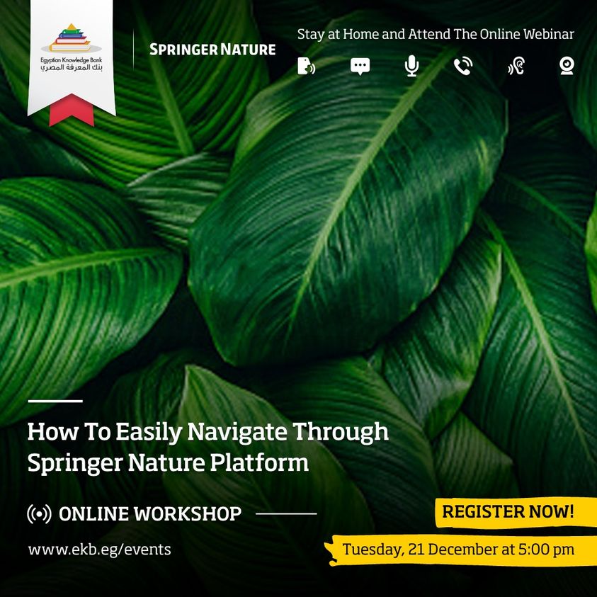 ورشة عمل عن استخدام منصة Springer Nature المقدمة من بنك المعرفة المصرى  