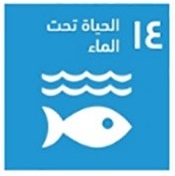 تقرير أهداف التنمية المستدامة: 14– الحياة تحت الماء