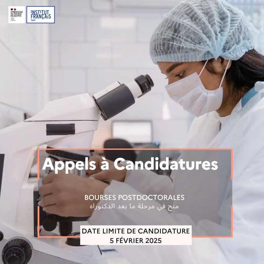 Postdoctoral fellowships co-financed with the STDF