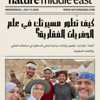 Sallam Lab at Mansoura University Recognized by Nature as a Rising Power in Paleontology