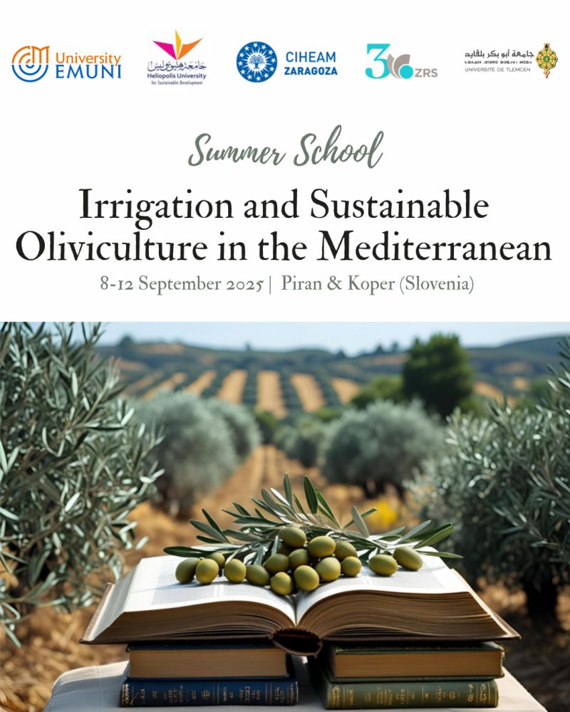 Summer School 2025: Irrigation & Sustainable Oliviculture in the Mediterranean
