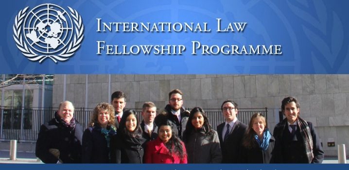 International Law Fellowship Programme